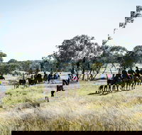 Weddin Mountain Muster - Pubs Perth