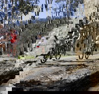 Wollombi Wild Ride Mountain Bike Ride - Pubs Perth