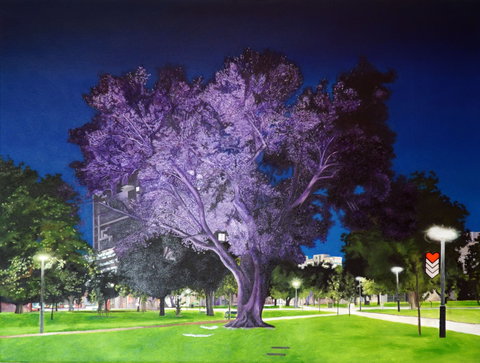 Adelaide Parklands Art Prize  Finalists Exhibition & Sale 2020 - Pubs Perth 0