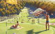 Adelaide Parklands Art Prize  Finalists Exhibition & Sale 2020 - thumb 2