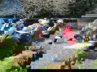 All Season Cold Climate Organic Vegetable Growing