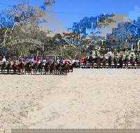 Australian Campdraft Association National Finals Campdraft 2021 - Pubs Perth