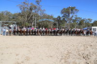 Australian Campdraft Association National Finals Campdraft 2021