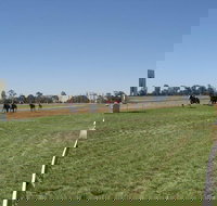 Balranald Races -Derby Day - Pubs Perth