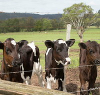 Bandon Grove Farm Tours - Pubs Perth