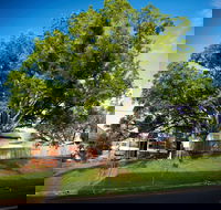 Big Bat Wildlife and Eco Festival - Pubs Perth