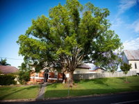 Big Bat Wildlife and Eco Festival