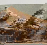 Cancelled  ADFAS Lecture - Giles Ramsay speaking about Aeschylus A Soldier in Society - Pubs Perth