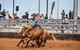 Cloncurry Stockmans Challenge And Campdraft - thumb 2