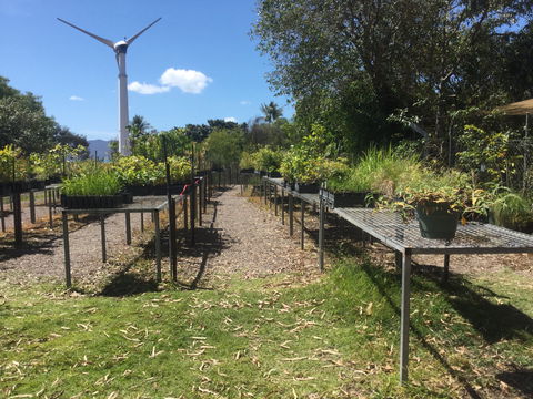 Conservation Volunteers Australia Townsville - Ocean View Nursery - Pubs Perth 0