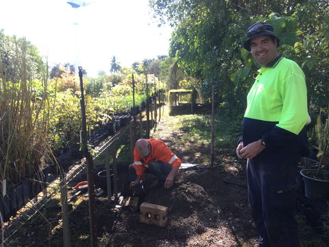 Conservation Volunteers Australia Townsville - Ocean View Nursery - Pubs Perth 1