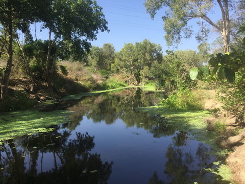 Conservation Volunteers Australia Townsville - Creekwatch - Pubs Perth 0