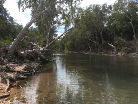 Conservation Volunteers Australia Townsville - Creekwatch - Pubs Perth 2