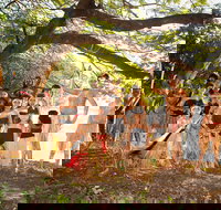 Cooktown and Cape York Expo 2021 - Pubs Perth