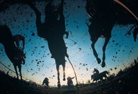 Cootamundra Cup