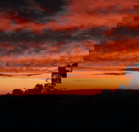 Cottontail Wines Christmas Day Lunch - Pubs Perth