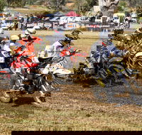 Dust Hustle Queensland Moto Park - Pubs Perth