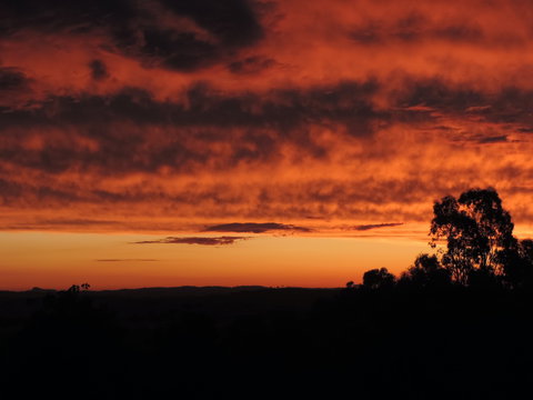 Father's Day At Cottontail Wines - Pubs Perth 0