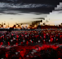 Field of Light Uluru - Pubs Perth