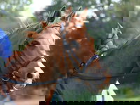 Glen William Gymkhana