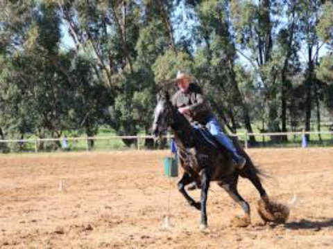 Glen William Gymkhana - Pubs Perth 1