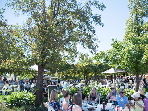 Griffith Vintage Festival - Pubs Perth 2