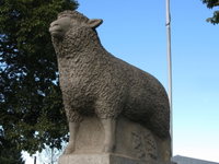 Guyra Lamb and Potato Festival