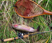 Guyra TroutFest
