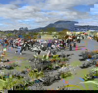 Hobart Showground Sunday Market - Weekly - Pubs Perth