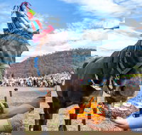 Horses Birthday Festival - Pubs Perth