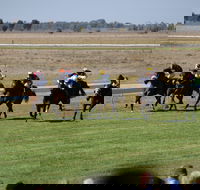 Jerilderie Gold Cup Races - Pubs Perth