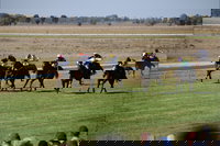 Jerilderie Gold Cup Races