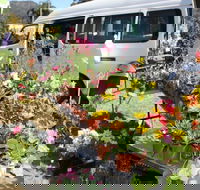 Johns River Country Markets - Pubs Perth