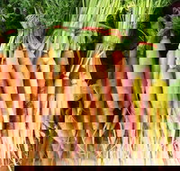 Joondalup Growers Market - Pubs Perth