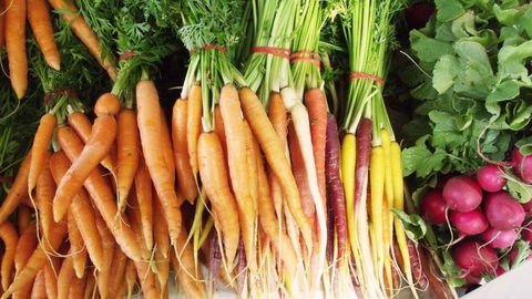 Joondalup Growers Market - Pubs Perth 0