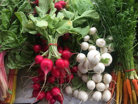 Joondalup Growers Market - Pubs Perth 1