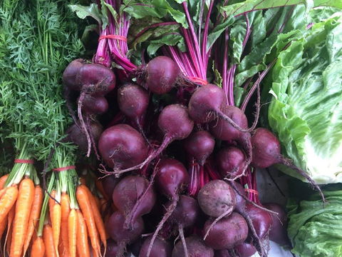 Joondalup Growers Market - Pubs Perth 2