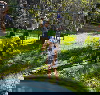 July 2020 Holidays- Forest Smores  Explore - Pubs Perth