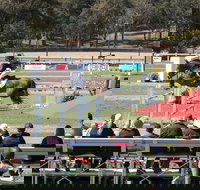 JumpingWillinga - Pubs Perth