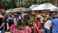 Karragarra Sea Market Festival