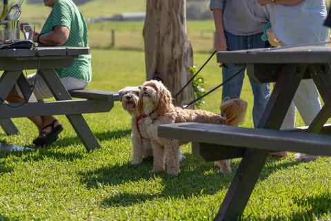 Live Music Sundays At Mountain Ridge Wines - Pubs Perth 1