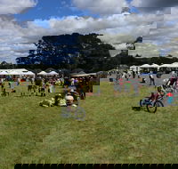 Majors Creek Festival - Pubs Perth