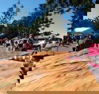 Maleny Wood Expo From Seed to Fine Furniture - Pubs Perth