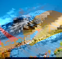 Mega Creatures at Hunter Valley Gardens - Postponed - Pubs Perth