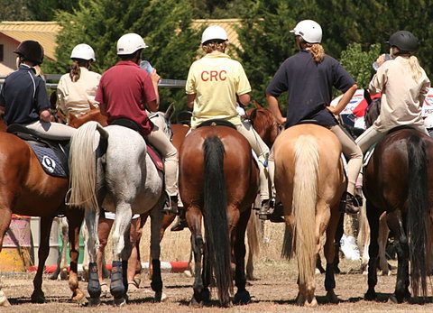 Michelago Pony Club Gymkhana And Sporting Spectacular - Pubs Perth 0
