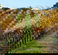Miners Ridge Wine Tasting - Pubs Perth