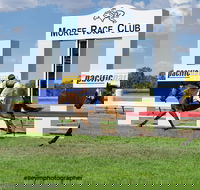 Moree Race Club TAB Race Day - Pubs Perth