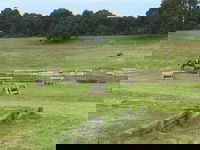 Book Wandilo Accommodation Vacations Pubs Perth Pubs Perth