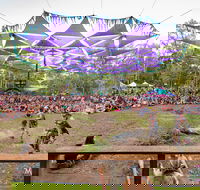 Mushroom Valley Festival - Pubs Perth