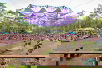 Mushroom Valley Festival